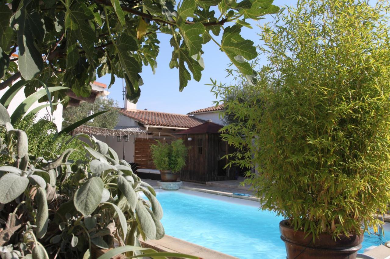 فاوفيرت Site Machambreencamargue المظهر الخارجي الصورة